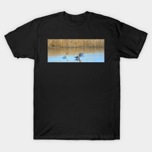 American Avocets illustration T-Shirt